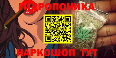 винт Кингисепп