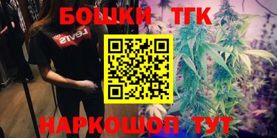 дмт Канаш